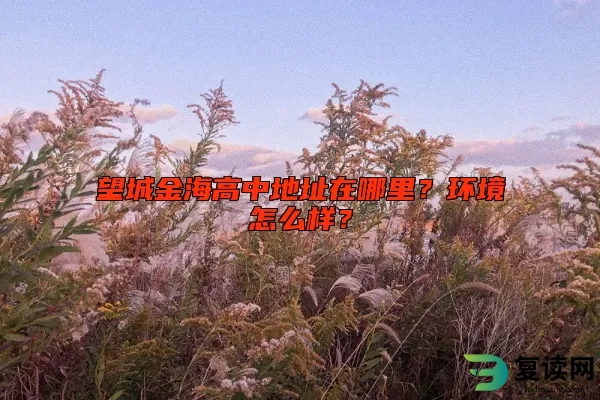 望城金海高中地址在哪里？环境怎么样？