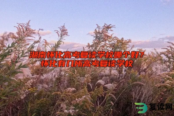 湖南怀化高考复读学校哪个好？怀化有几所高考复读学校