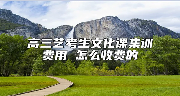 高三艺考生文化课集训费用 怎么收费的