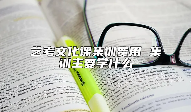 艺考文化课集训费用 集训主要学什么