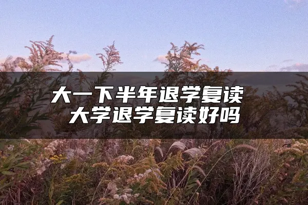 大一下半年退学复读 大学退学复读好吗
