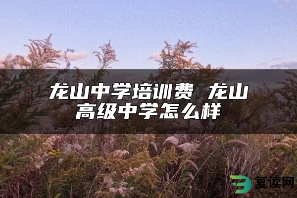 龙山中学培训费 龙山高级中学怎么样