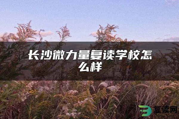 长沙微力量复读学校怎么样