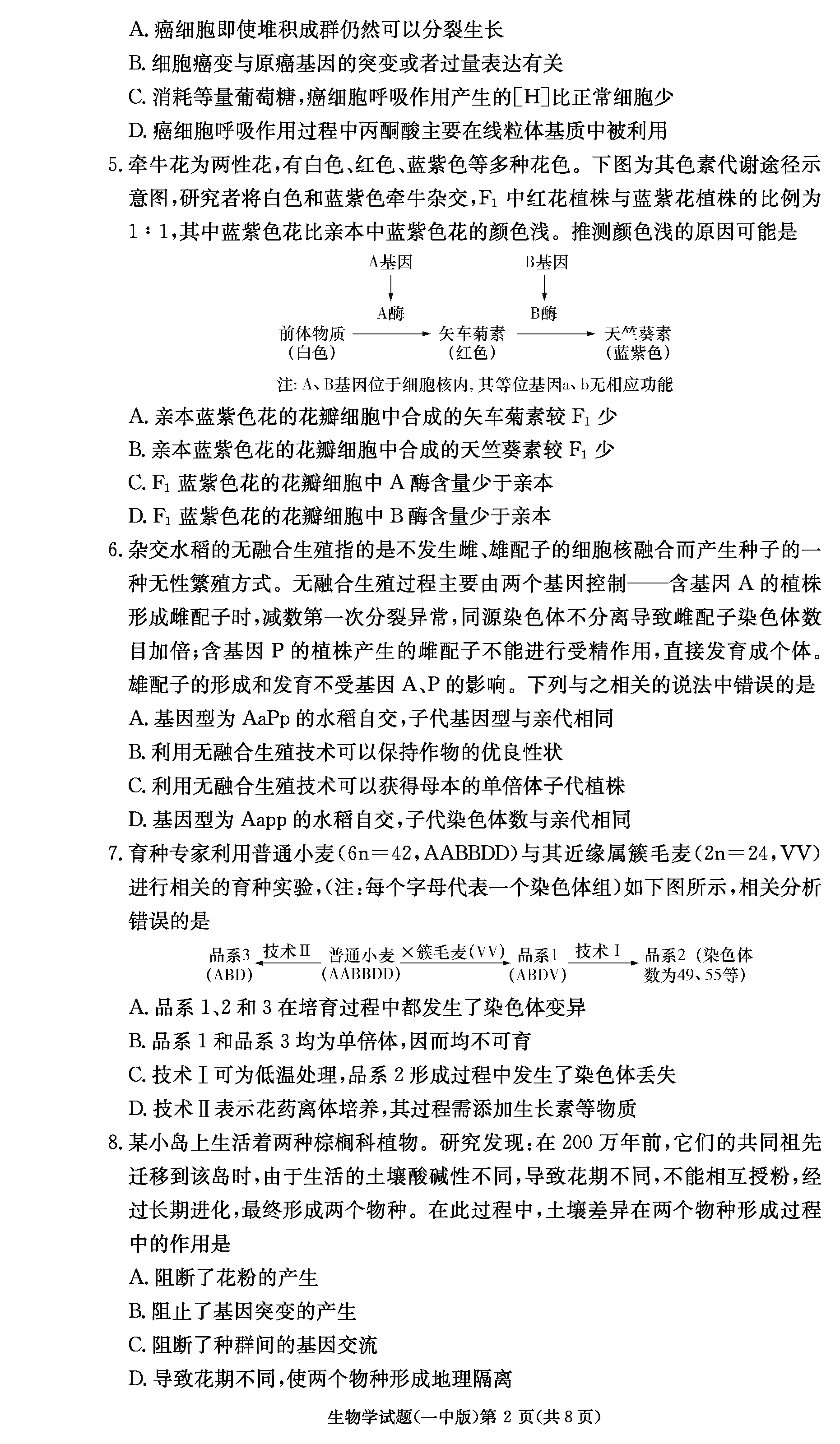 2024届湖南长沙一中高三上学期月考（四）生物试题及答案