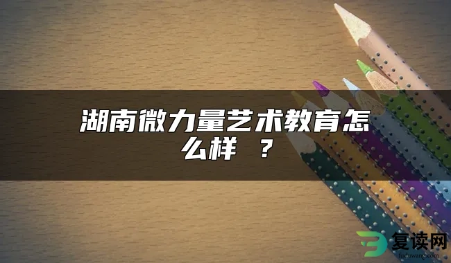 湖南微力量艺术教育怎么样 ？