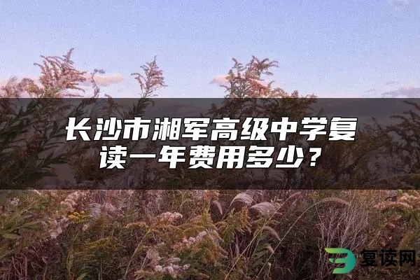 长沙市湘军高级中学复读一年费用多少？
