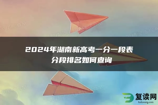 2024年湖南新高考一分一段表 分段排名如何查询