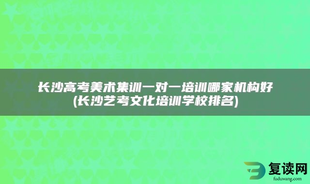长沙高考美术集训一对一培训哪家机构好(长沙艺考文化培训学校排名)
