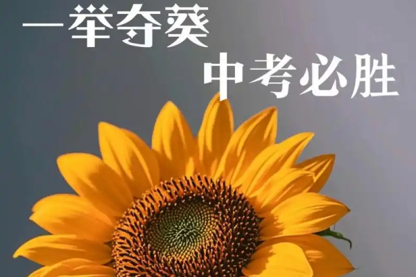 株洲市2025年指标生招生政策知多少？